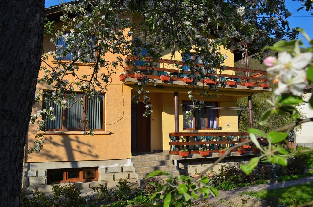 Villa Ribarica Exterior photo