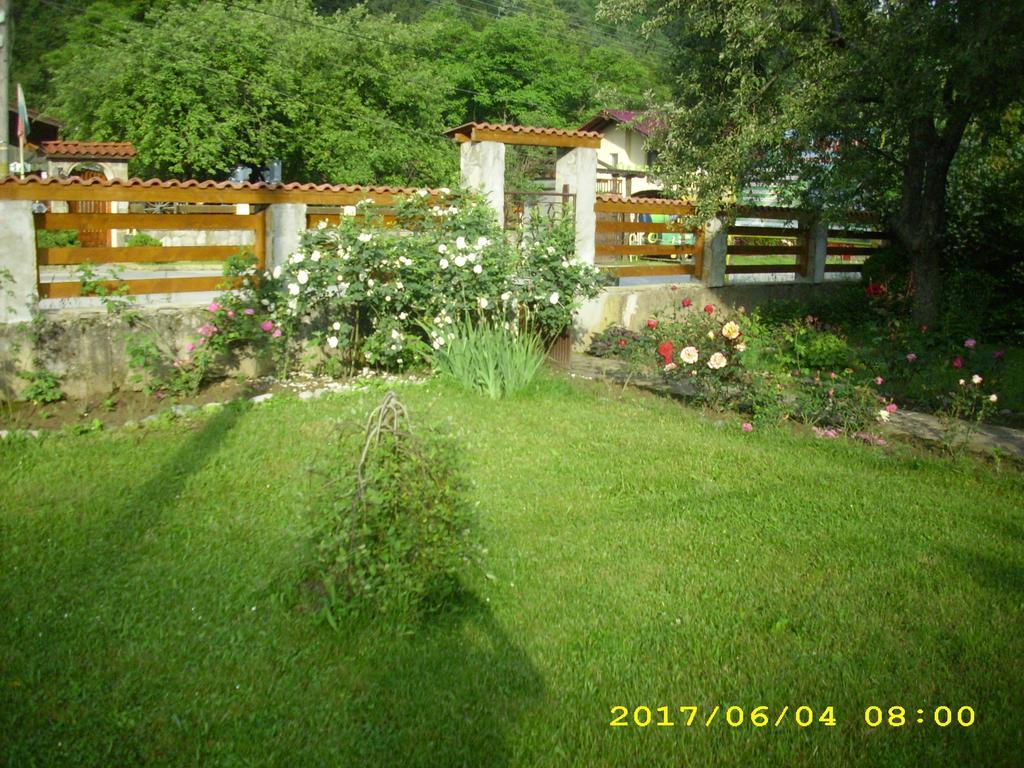 Villa Ribarica Exterior photo