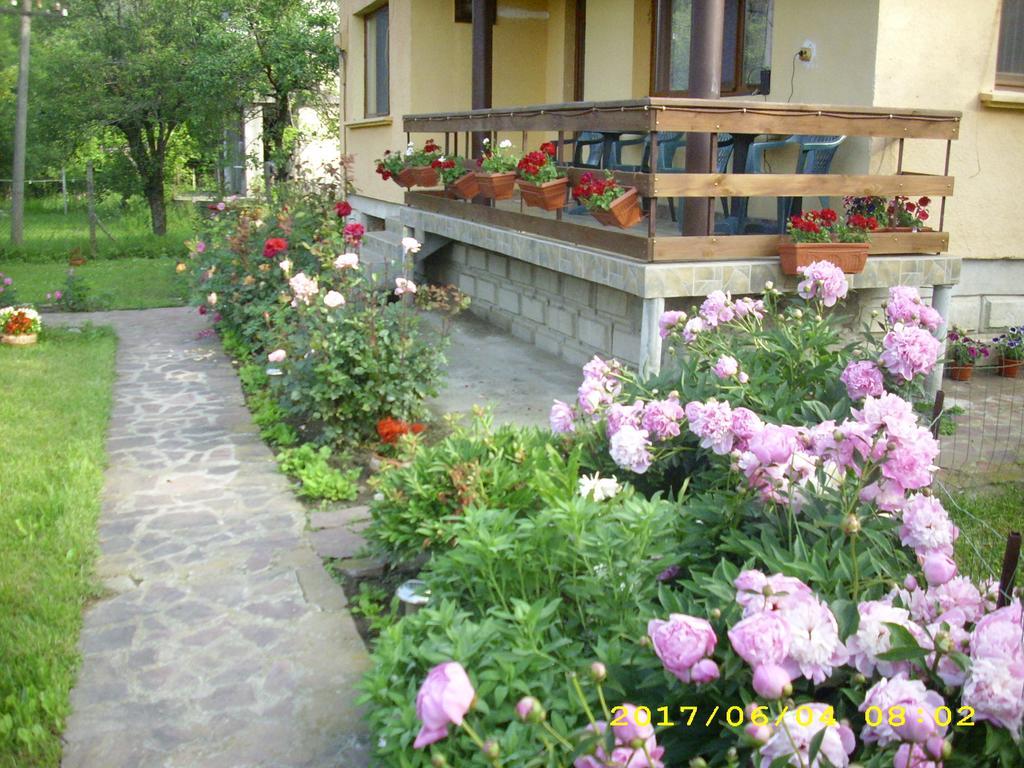 Villa Ribarica Exterior photo