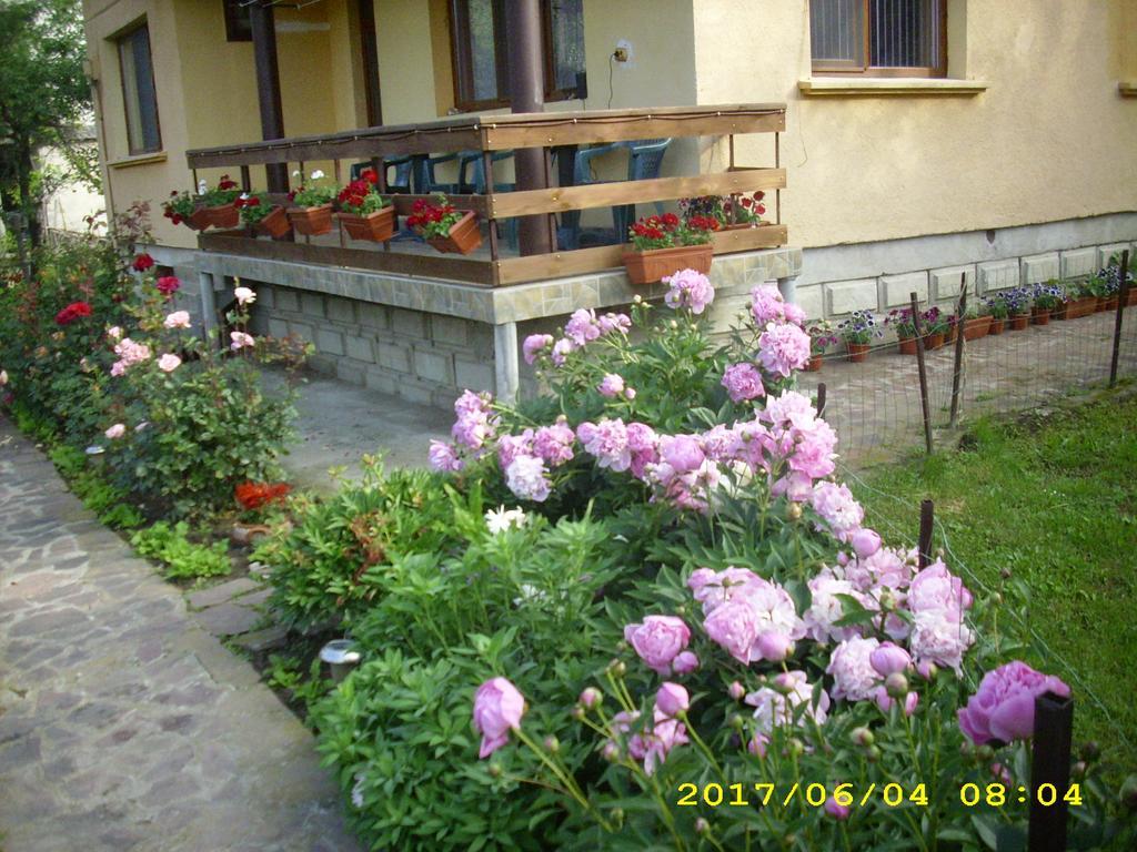 Villa Ribarica Exterior photo