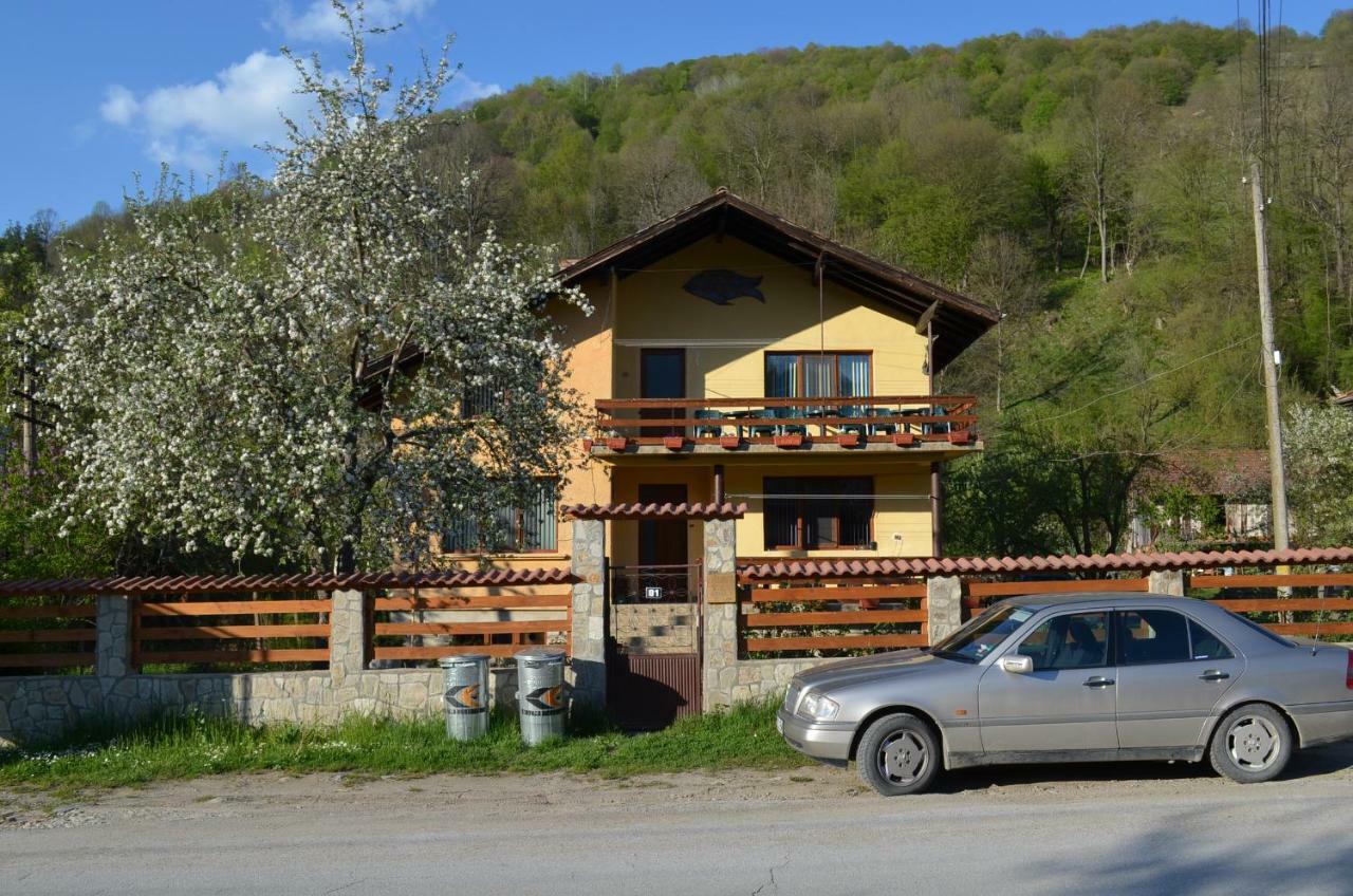 Villa Ribarica Exterior photo